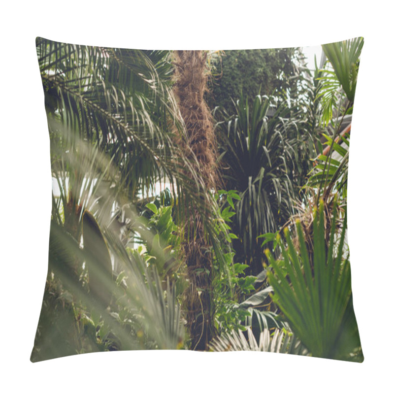 Personality  Palm Textured Trunk And Green Leaves In Orangery Pillow Covers