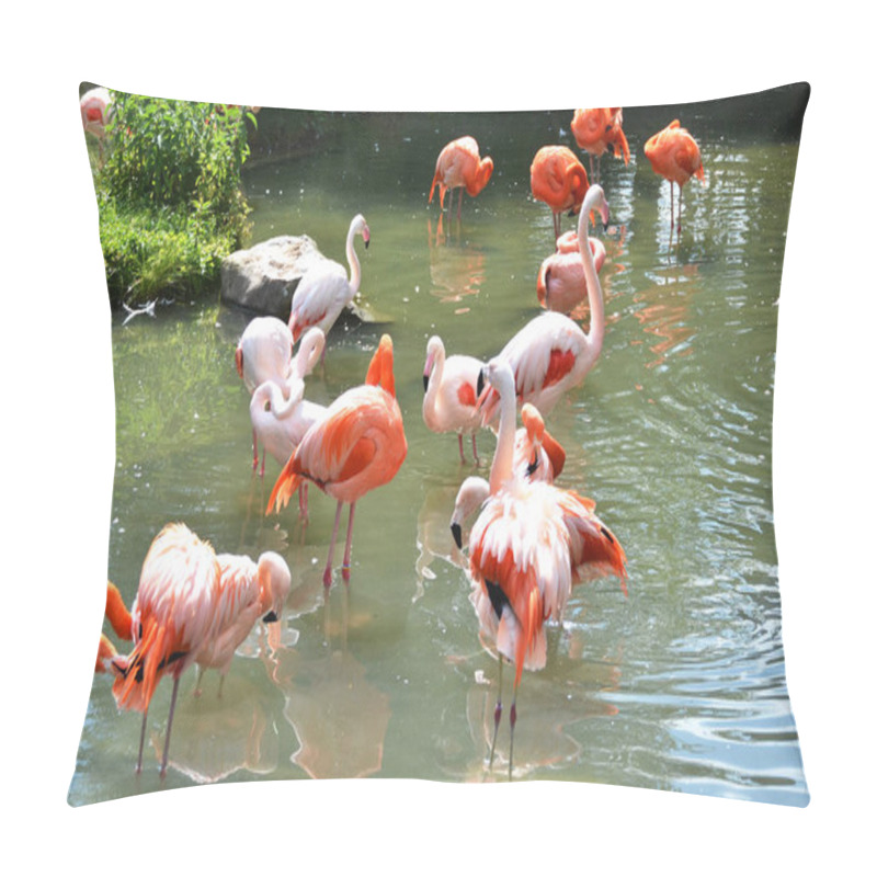 Personality  Caribbean Flamingos In River Pillow Covers