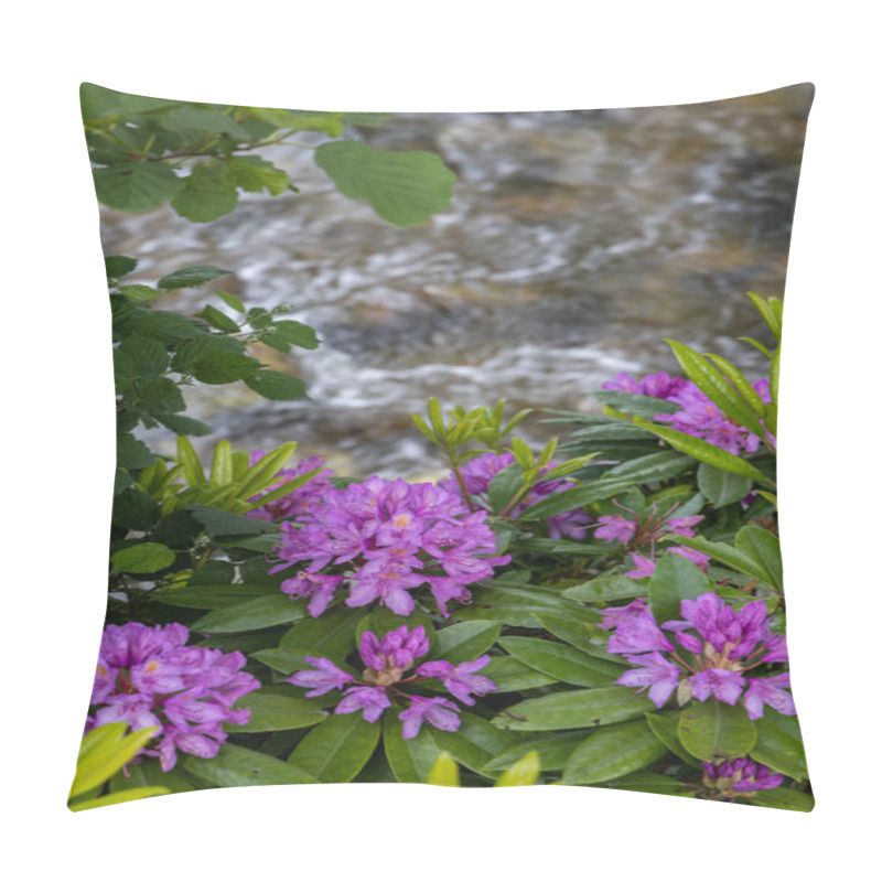 Personality  Wild Rhododendrons With Soft Pink Petals In A Natural Garden, Creating A Peaceful And Vibrant Floral Display In The Outdoors. Pillow Covers