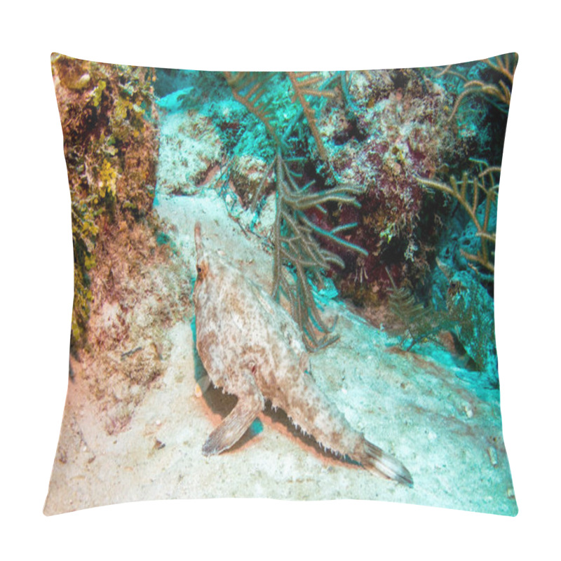 Personality  Walking Batfish, Also Called Longnose Batfish - Belize Barrier Reef Pillow Covers