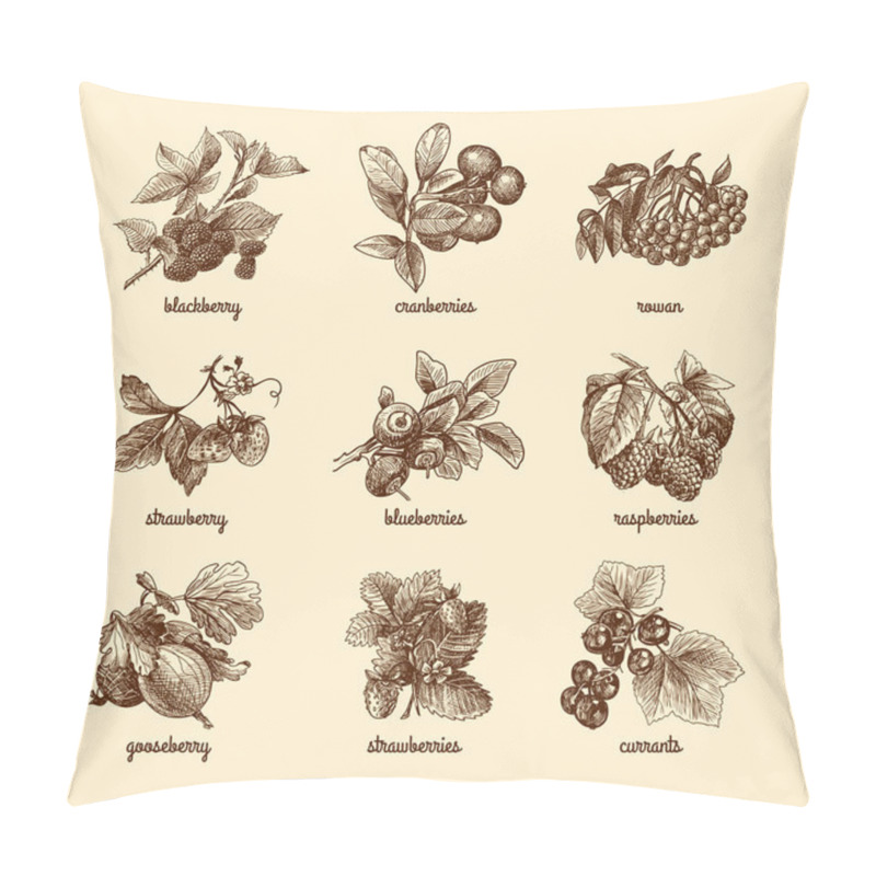 Personality  Sketch Berries Set Pillow Covers