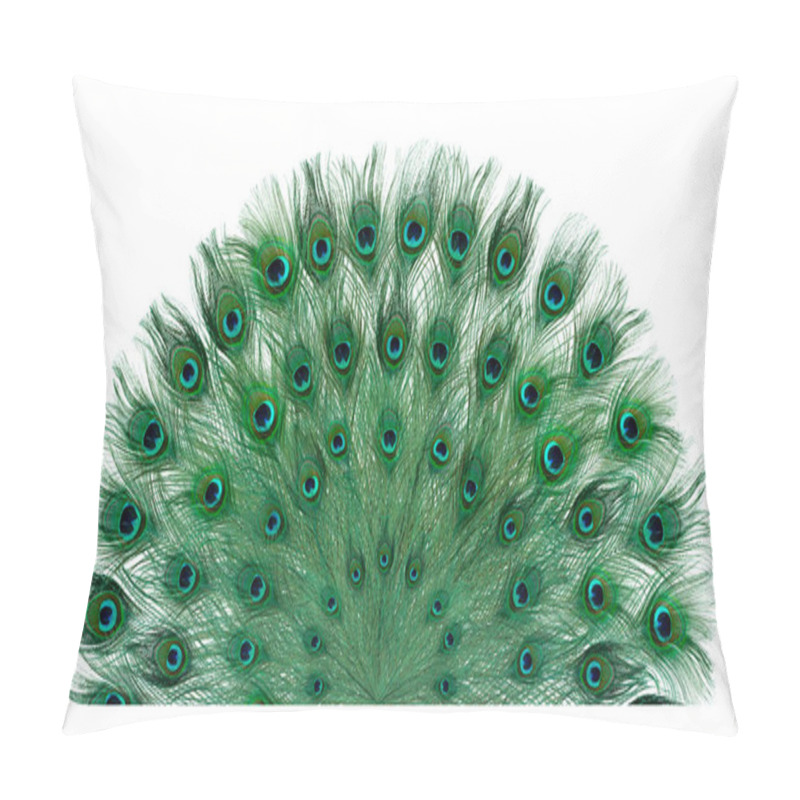 Personality  Beautiful Bright Peacock Feathers On White Background Pillow Covers