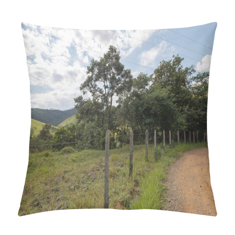 Personality  Tree And Fence On The Countryside, In Perspective. On Countryside Of Brazil Pillow Covers