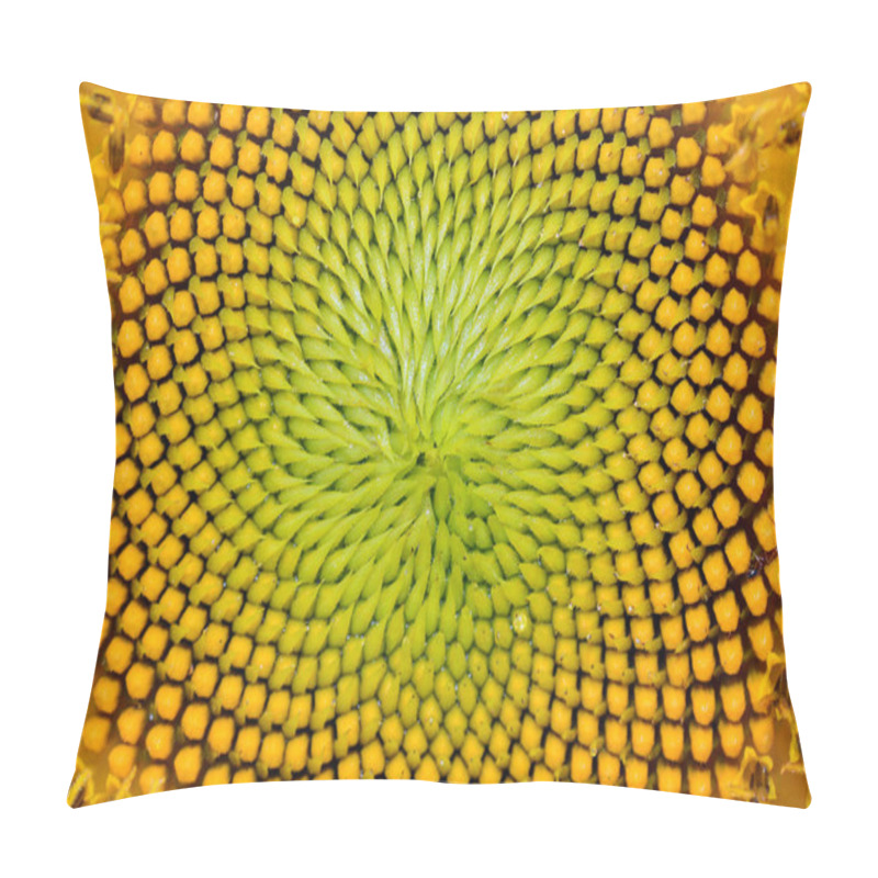 Personality  Sunflower Pillow Covers