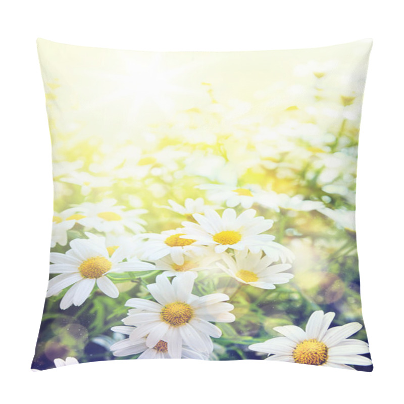 Personality  Art Field Of Daisies Sky And Sun Pillow Covers