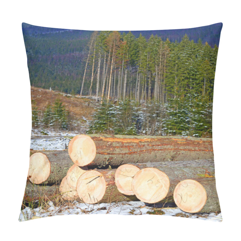 Personality  Preparation And Wood Warehousing In An Industrial Landscape. Pillow Covers