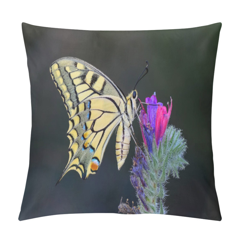 Personality  Closeup   Beautiful Butterfly Sitting On Flower Pillow Covers