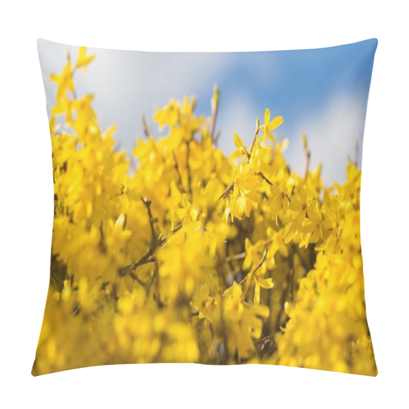 Personality  Blooming Forsythia Bush Pillow Covers