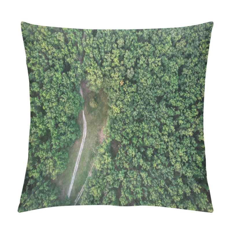 Personality  Forest And Road - View From Above Pillow Covers