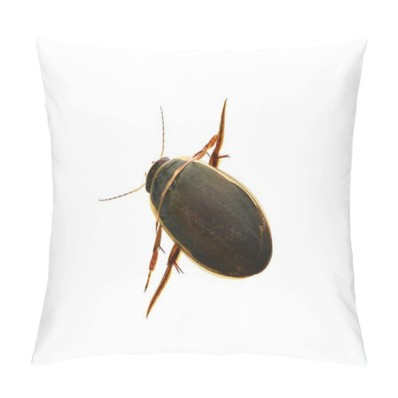 Personality  The Great Diving Beetle (Dytiscus Marginalis) Isolated On A White Background. Pillow Covers