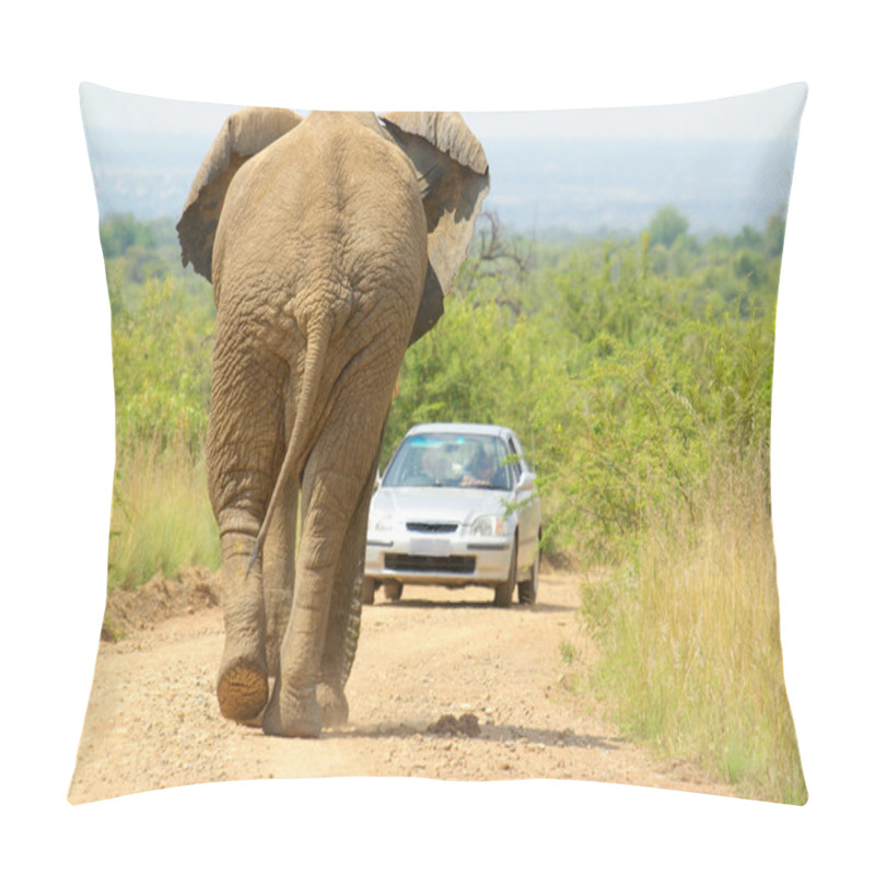 Personality  Elephant Versus Automobile Pillow Covers