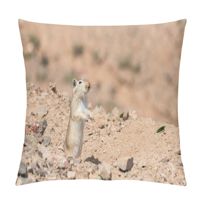 Personality  Gerbil In Charyn Valley National Park In Kazakhstan. Pillow Covers