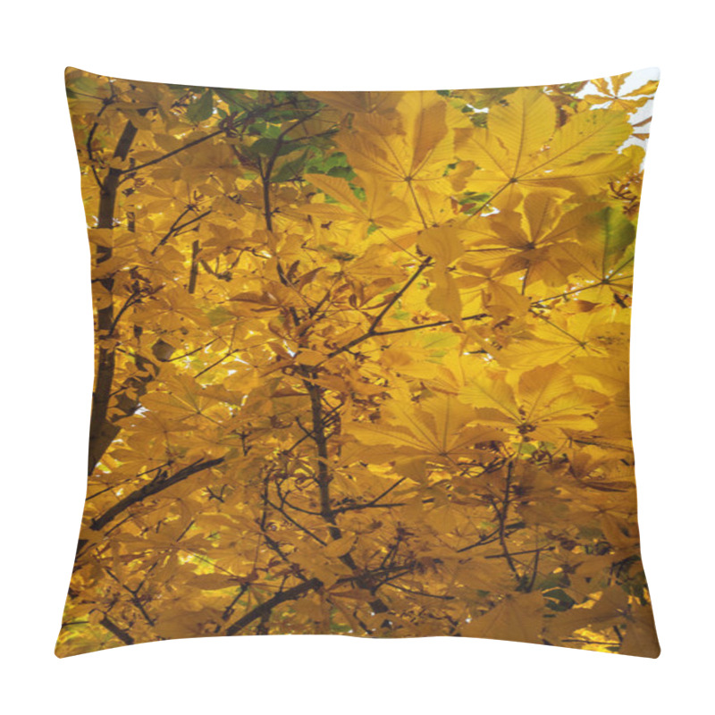 Personality  A Dense Assembly Of Chestnut Leaves In Their Autumnal Hues. Sunlight Filters Through The Canopy, Illuminating The Leaves With A Vibrant Golden-yellow, Accentuating Their Delicate Veins And Edges Pillow Covers