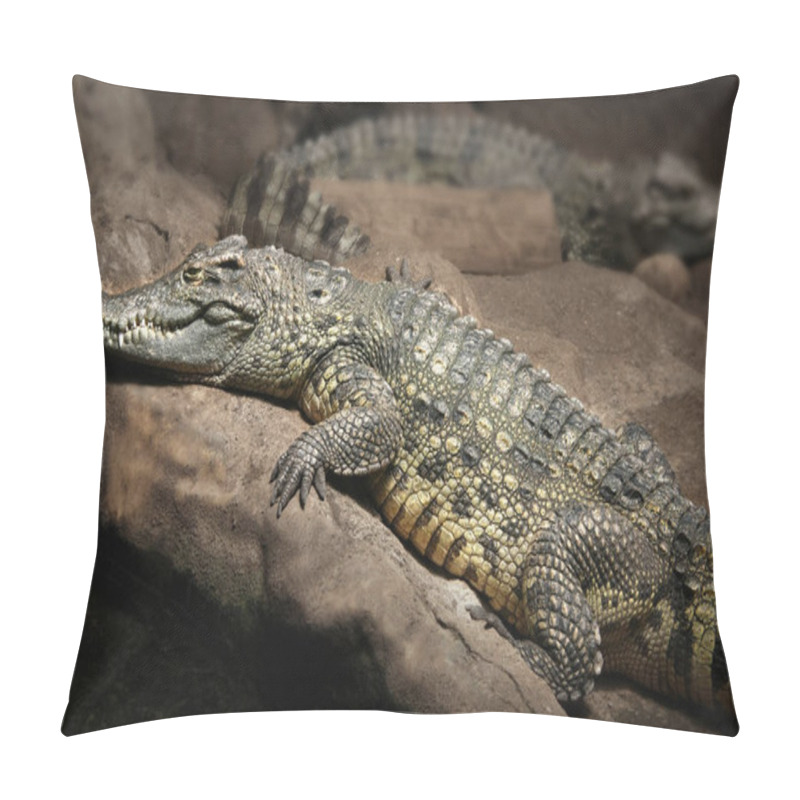 Personality  Crocodile In A Zoo Pillow Covers