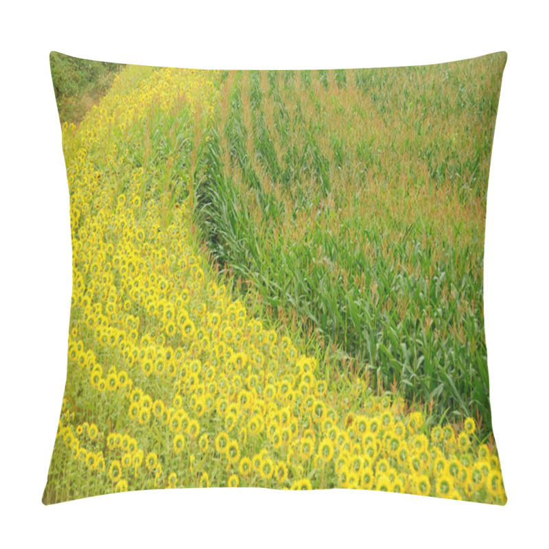 Personality  Salem Sunflowers Pillow Covers