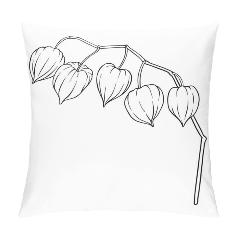 Personality  Phisalis Branch With Berries Outline Illustration. Vector Isolated For Design Or Decoration Pillow Covers