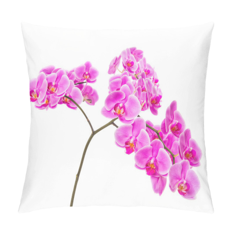 Personality  Light Pink Orchid Flowers Isolated On White Background Pillow Covers