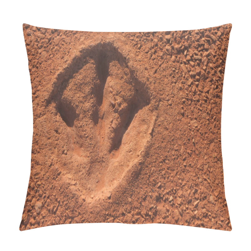 Personality  Dinosaur Footprint In Broome Kimberley Western Australia Pillow Covers