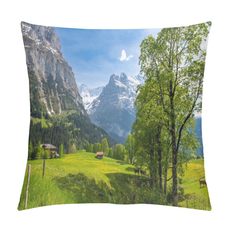 Personality  Spring Meadow In Alps In Grindelwald Village In Switzerland Pillow Covers