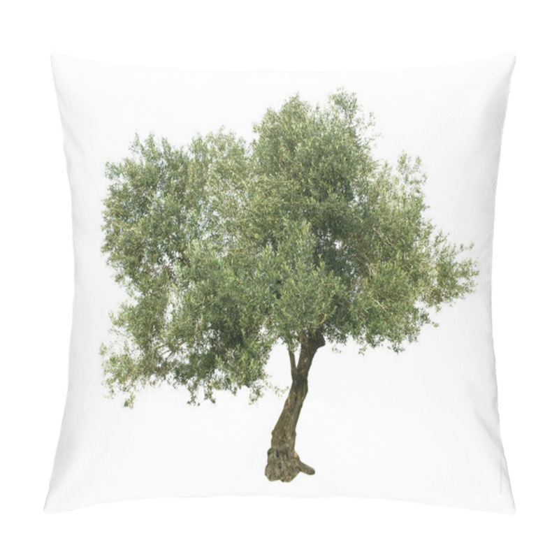 Personality  Olive Tree Isolated On White Background Pillow Covers