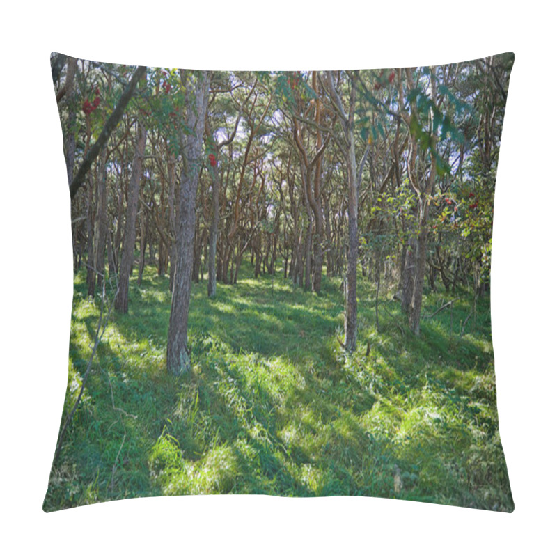 Personality  Forest On The Skerry Island Of Roeroe Pillow Covers