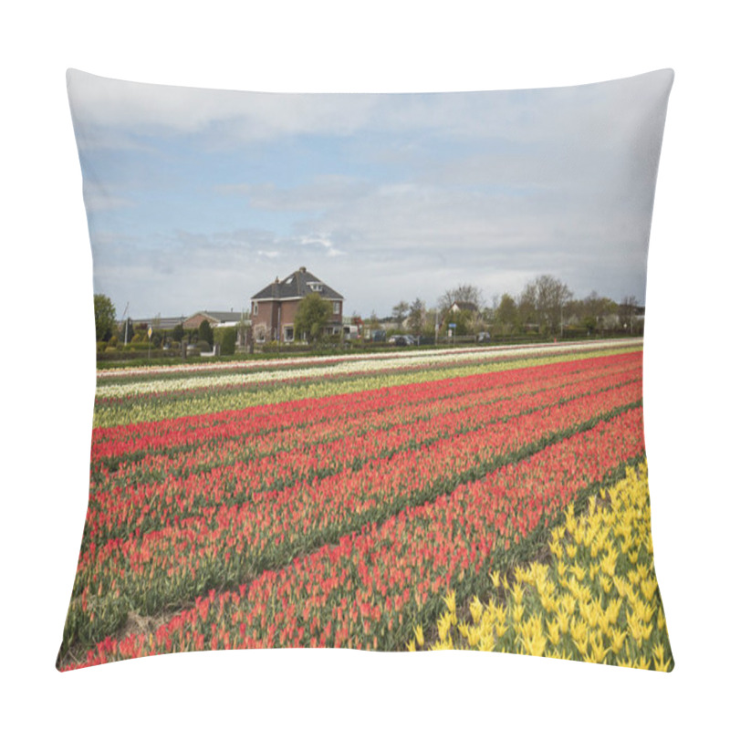 Personality  Tulip Fields In The Bollenstreek Pillow Covers