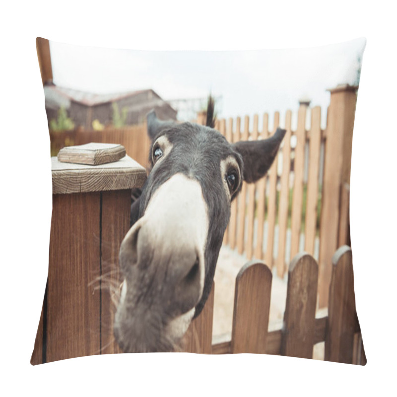 Personality  Donkey Pillow Covers