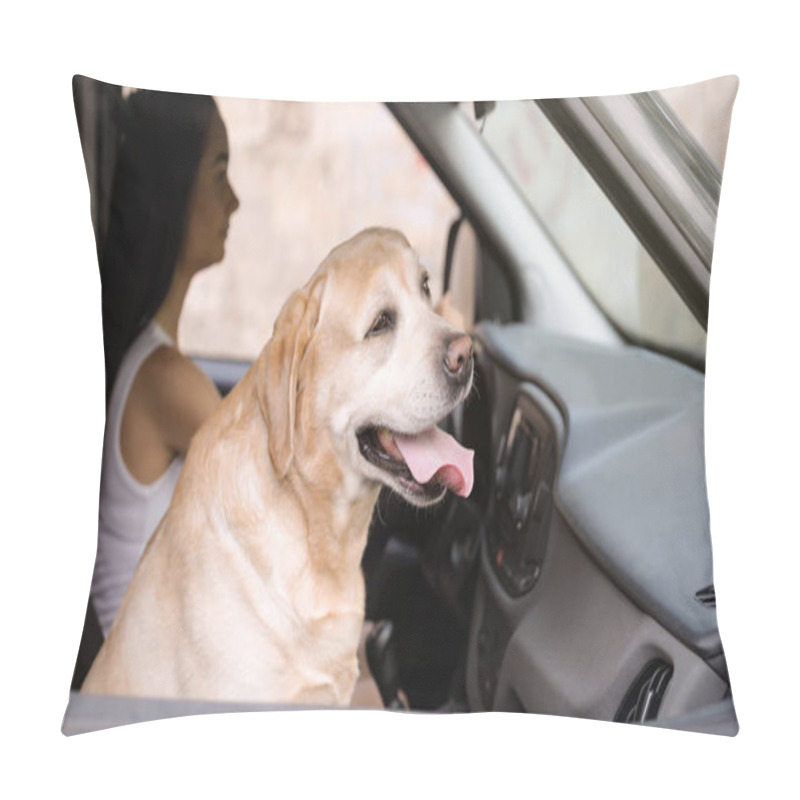 Personality  Funny Golden Labrador Retriever Dog And Young Woman In Modern Car Pillow Covers