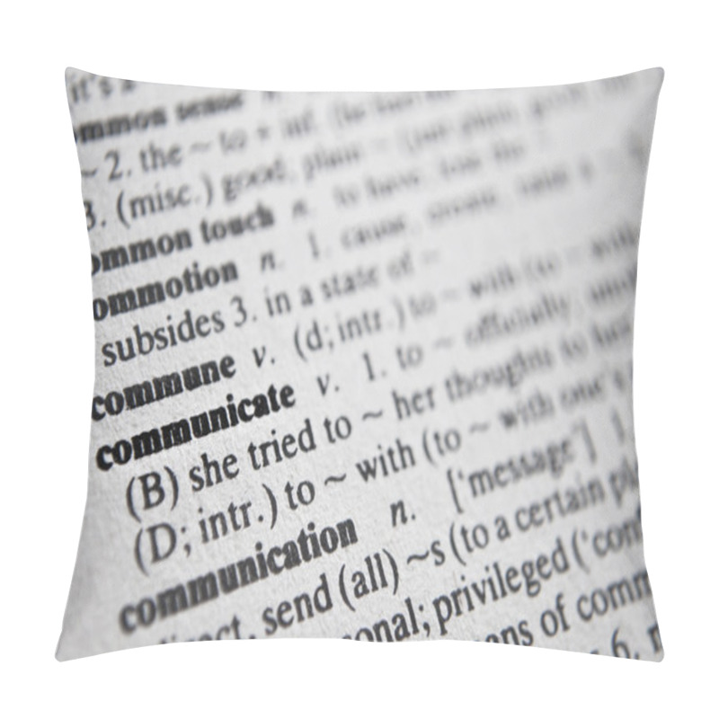 Personality  Dictionary Pillow Covers