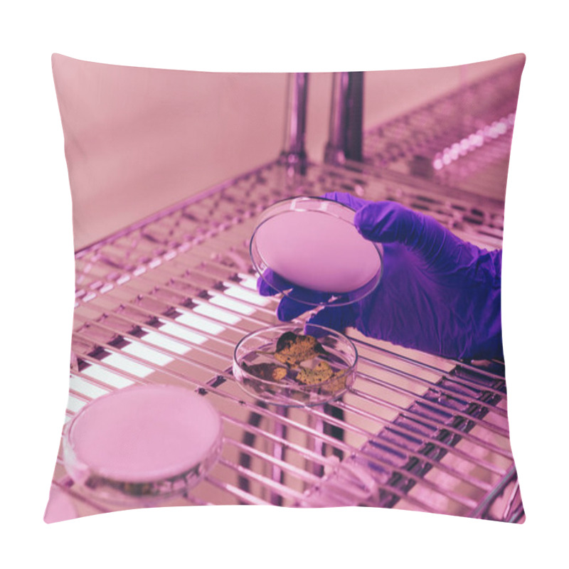 Personality  Cropped Image Of Scientist Closing Petri Dish With Leaves In Agro Laboratory With Ultra Violet Light Pillow Covers