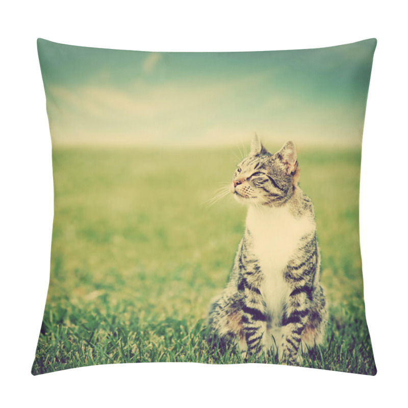 Personality  Cat Sitting On Green Grass Pillow Covers