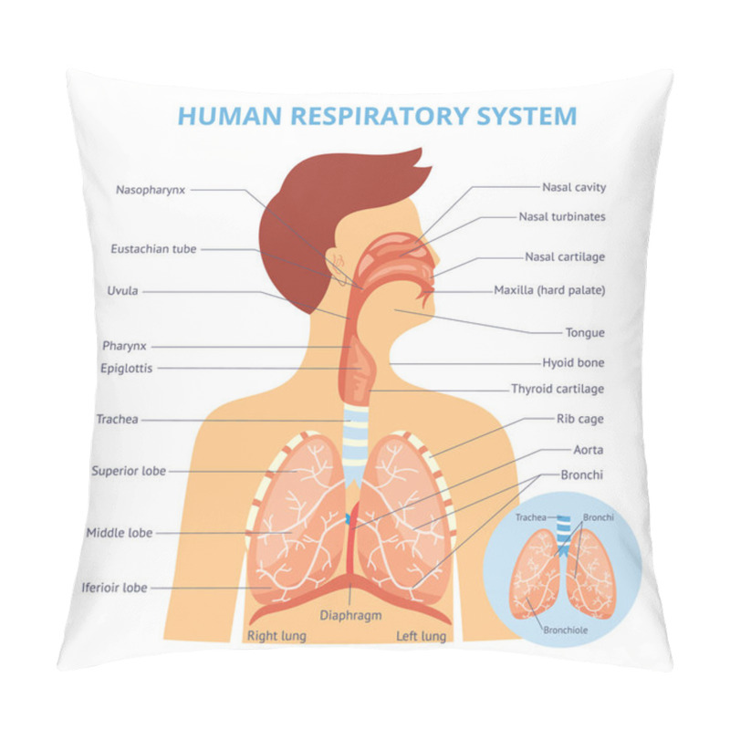 Personality  Medical Infographics Of The Human Respiratory System On The Example Of A Man. Pillow Covers