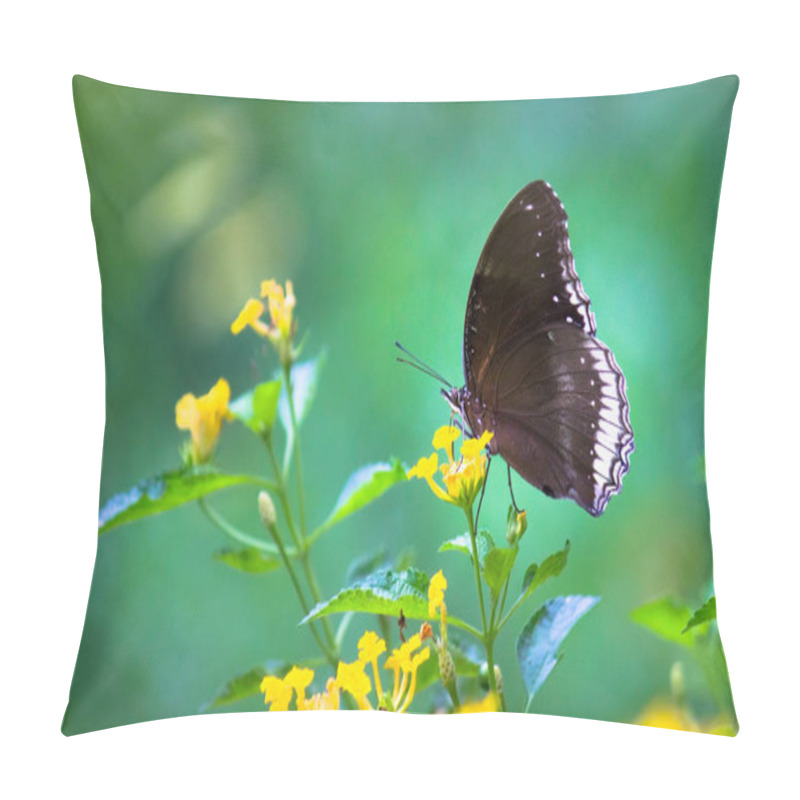 Personality  Portrait Of Crow Butterfly On Flower Plants In Its Natural Habitat Pillow Covers