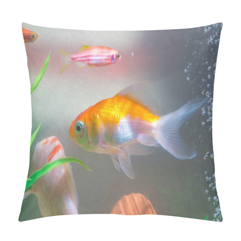 Personality  Little Fish In Fish Tank Or Aquarium, Gold Fish, Guppy And Red Fish, Fancy Carp With Green Plant, Underwater Life Concept. Pillow Covers