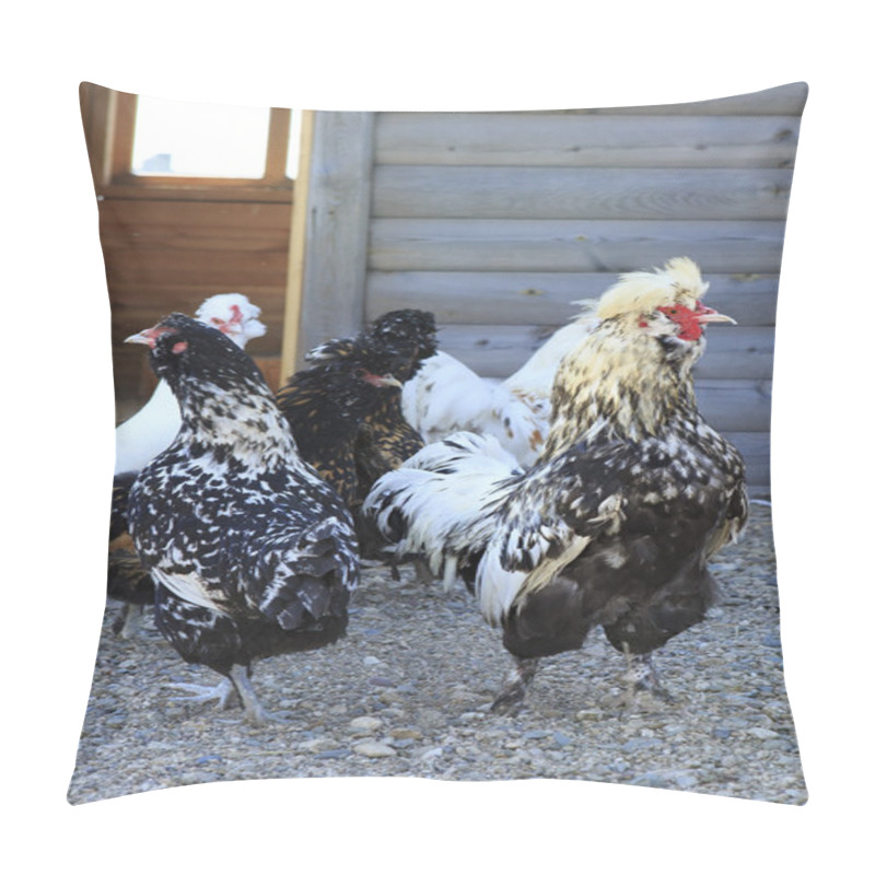 Personality  Kulangi - Fighting Breeds Of Chickens. Pillow Covers