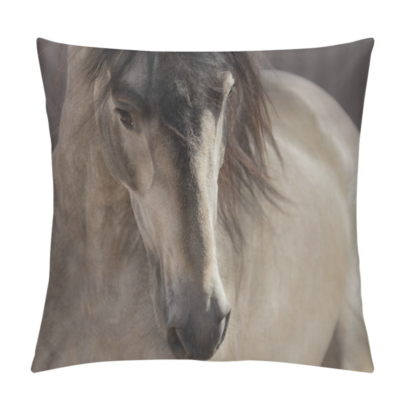 Personality  Portrait Of Buckskin Andalusian Horse.  Pillow Covers