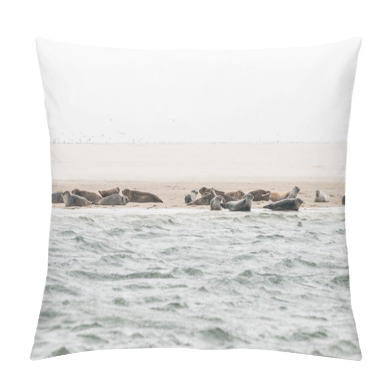 Personality  A Group Of Seals Are Lying On A Sandbank Before The Coast In The Waddensea In The Netherlands. Pillow Covers