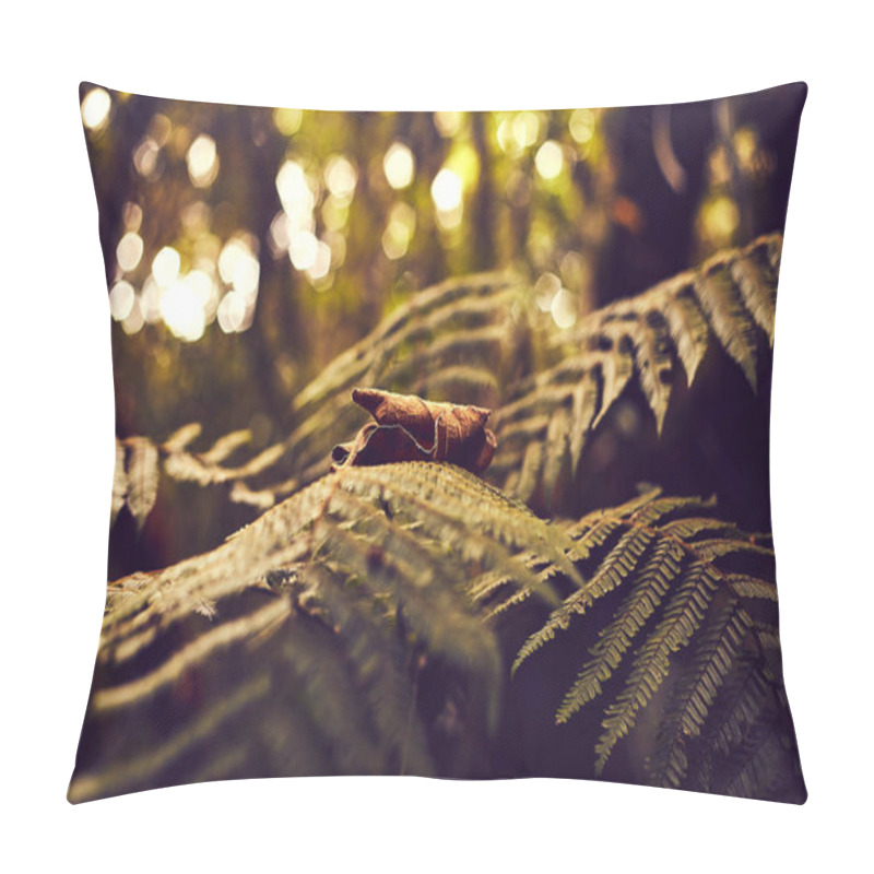 Personality  Close-up Of A Vibrant Fern In The Lush Nature Of La Runion, Showcasing The Island's Tropical Biodiversity. The Intricate Details Of The Leaves Highlight The Pristine And Exotic Environment, Perfect For Themes Of Nature, And Tropical Landscapes Pillow Covers