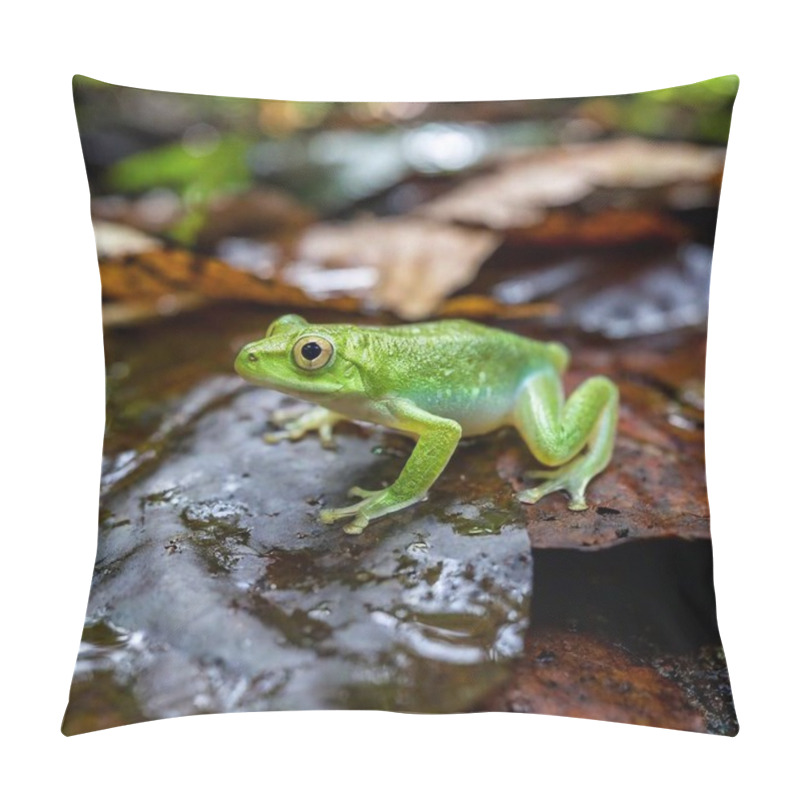 Personality  Macro Shot Of A Green Frog In A Misty Rainforest Setting Pillow Covers