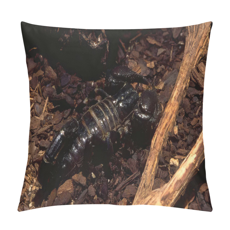 Personality  Insect Crawling On An Automotive Tire In The Soil Pillow Covers