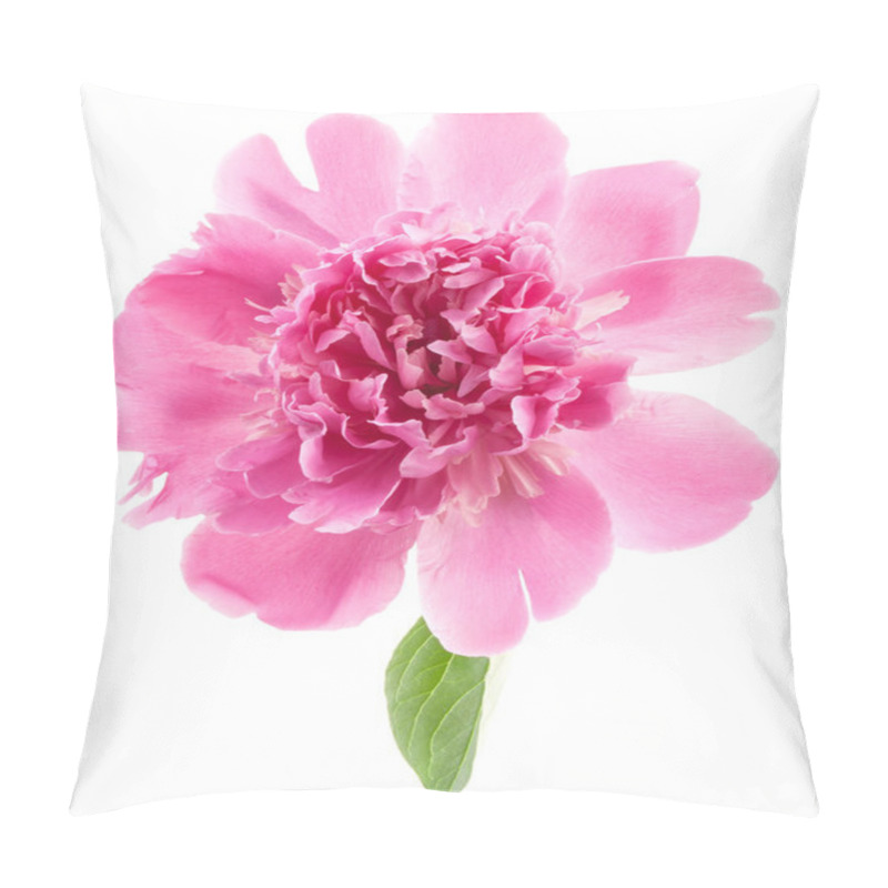 Personality  Peony Flower Isolated On White Pillow Covers