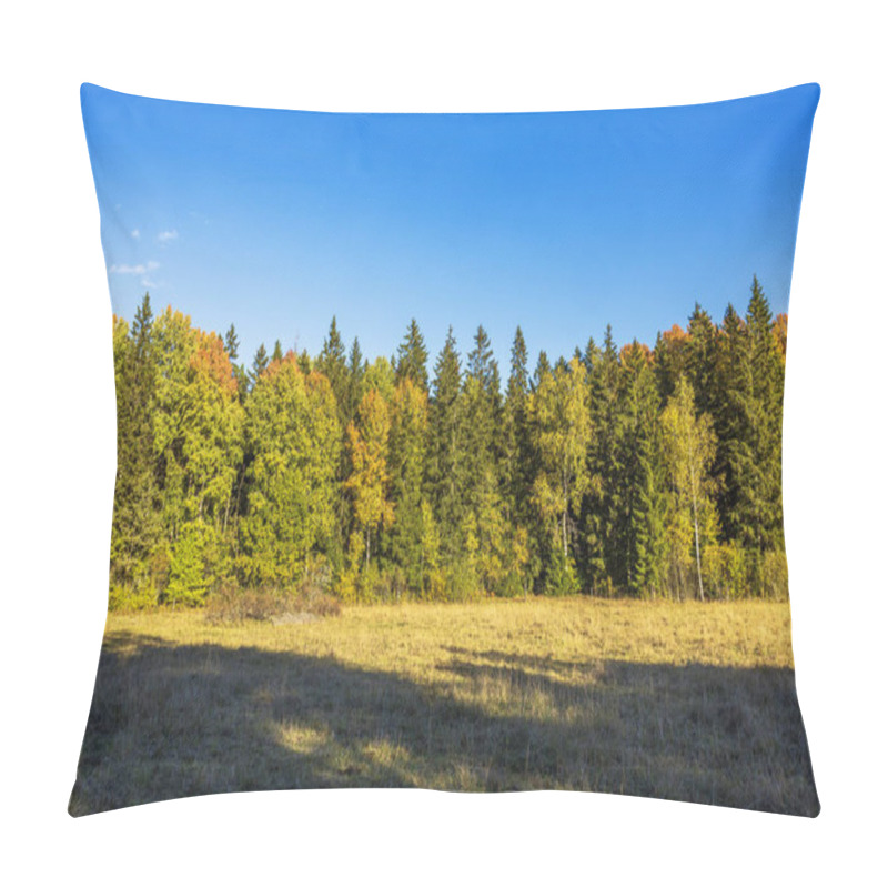 Personality  Sunlit Autumn Trees And Grassy Meadow In Serene Forest Landscape. Sweden. Pillow Covers