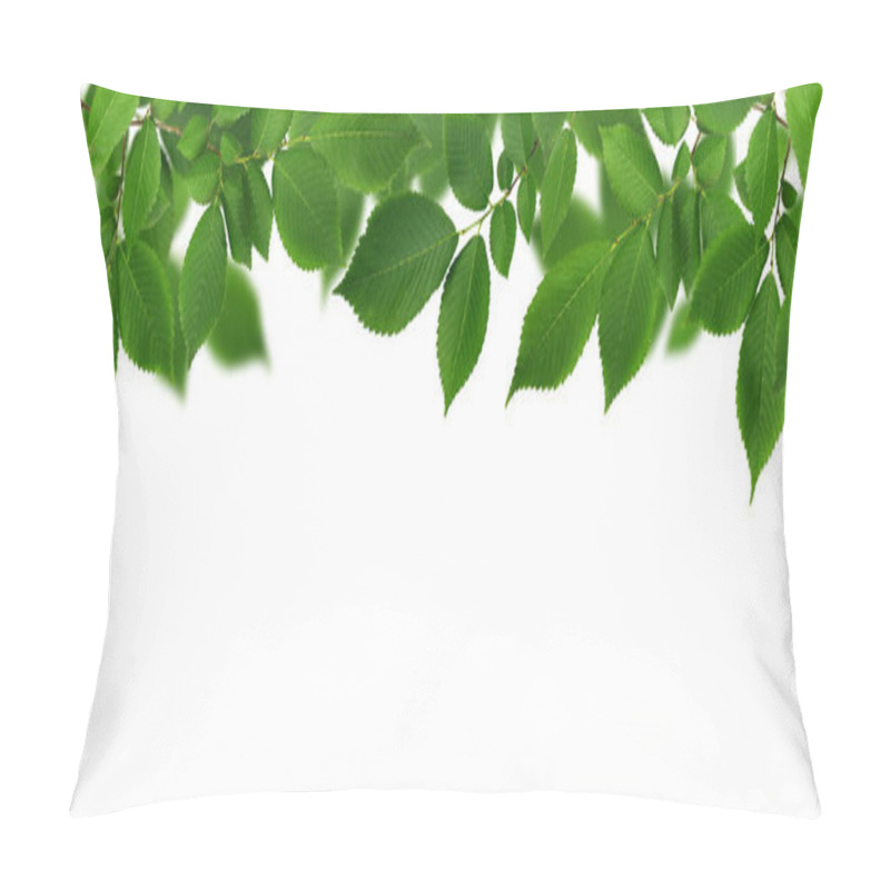 Personality  Border With Branch Of Fresh Green Elm-tree Leaves On White Background.  Pillow Covers