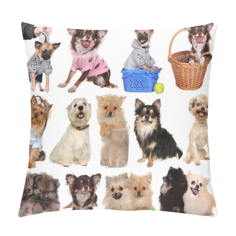 Personality  Set Dogs Isolated On White Background. Pillow Covers