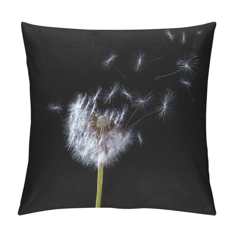 Personality  Beautiful Puffy Dandelion Blowball And Flying Seeds On Black Background Pillow Covers