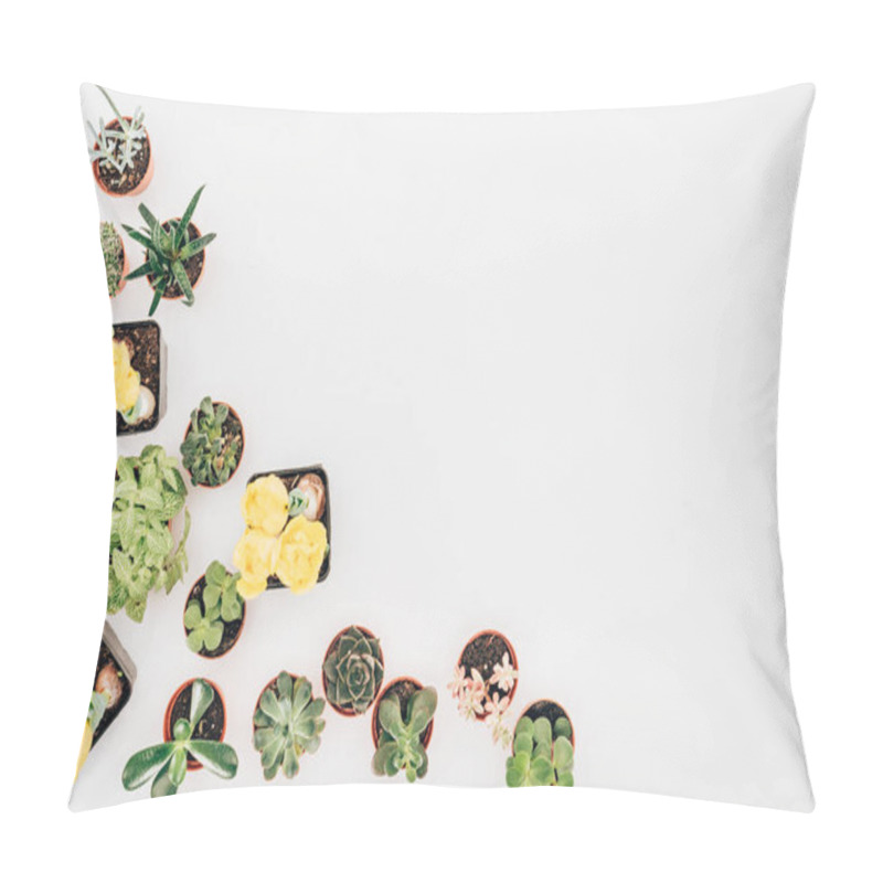 Personality  Top View Of Beautiful Green Plants And Yellow Flowers In Pots Isolated On White  Pillow Covers