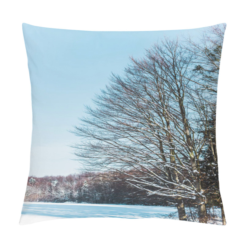 Personality  Dry Trees In Carpathian Mountains With Shadows On Snow Pillow Covers