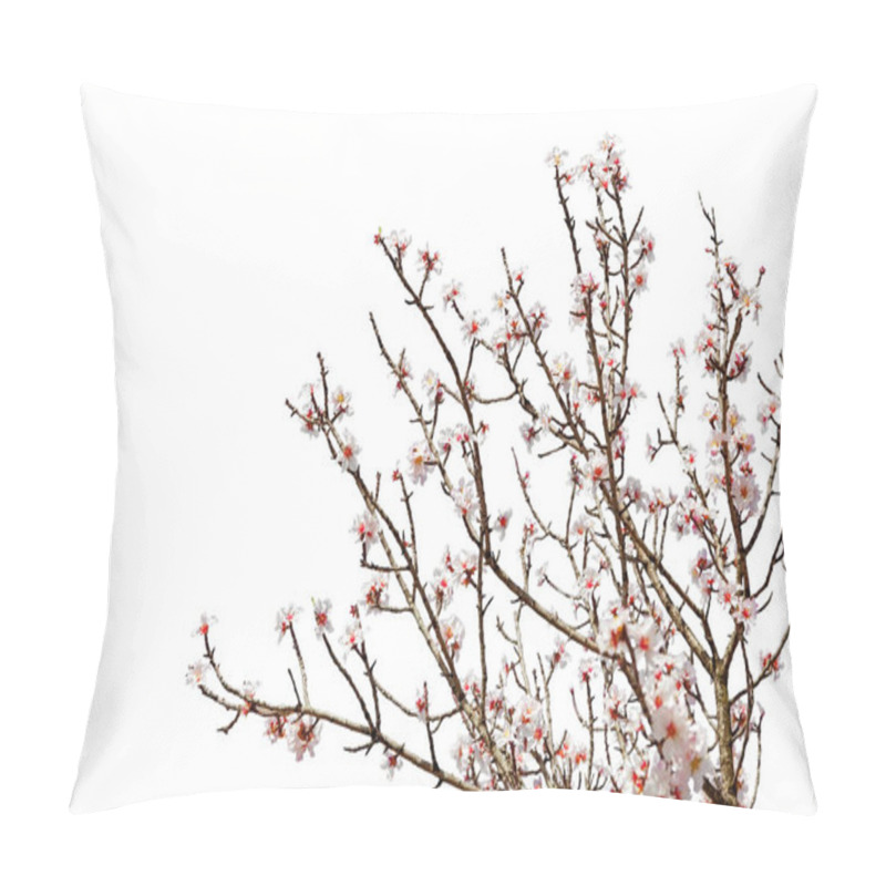 Personality  Cherry Tree Branch Full Of Flower Blossoms Isolated On A White Background Pillow Covers