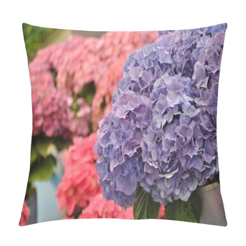 Personality  Blue Hydrangea Bodensee Blossing In Keukenhof Park In Holland Pillow Covers