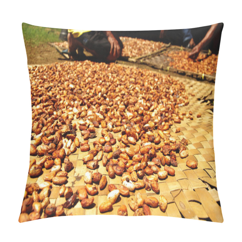 Personality  Fresh Cacao Beans Drying In The Sun Pillow Covers